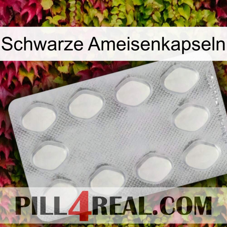 Black Ant Capsules 16